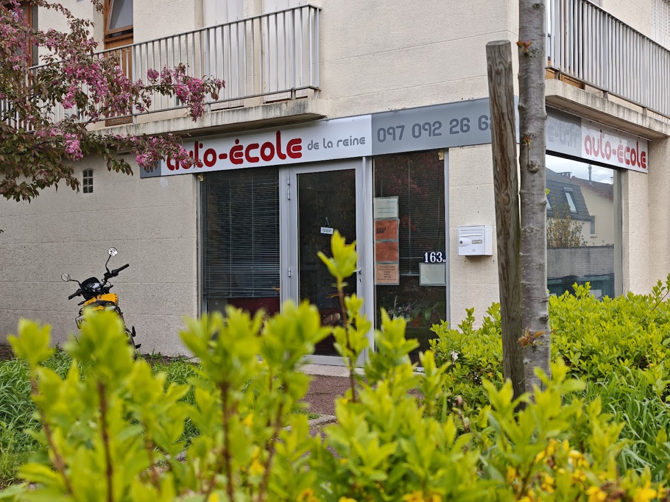 Auto-école de la Reine au printemps